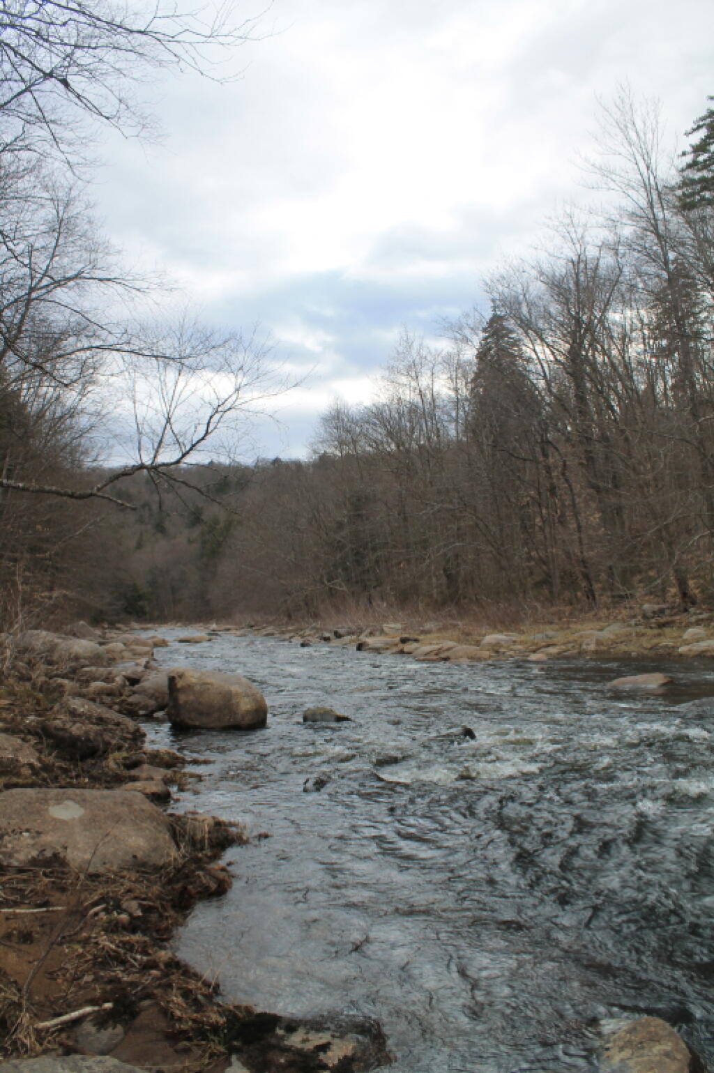 Photo: East Stony Creek