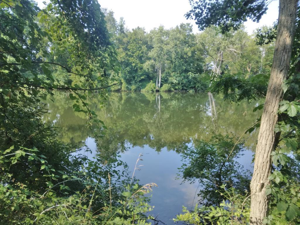 Photo: Mohawk River Photo: Mohawk River