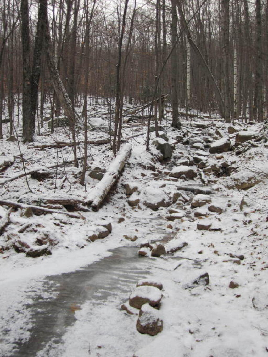 Photo: Evidentially, I Didn't Hike Up Most of Trail