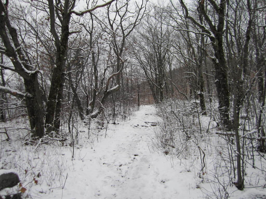 Photo: Along the Col