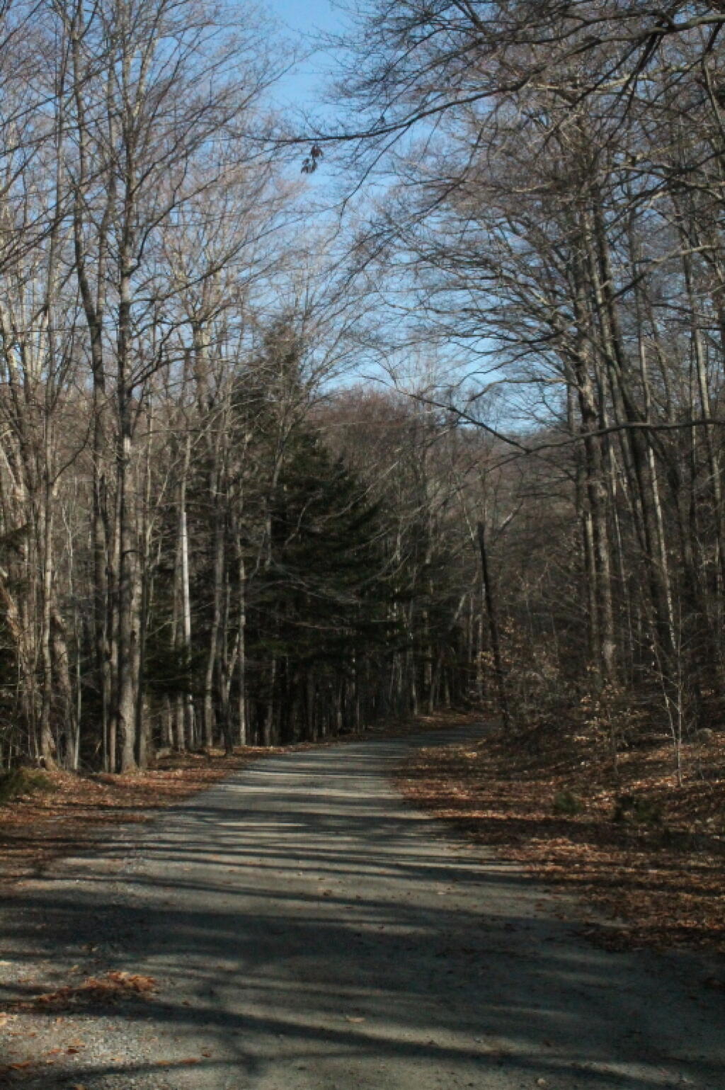 Photo: Hope Falls Road