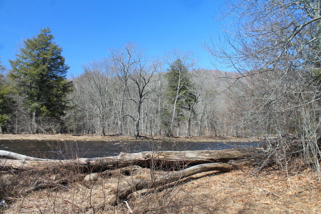 Photo: Stony Creek