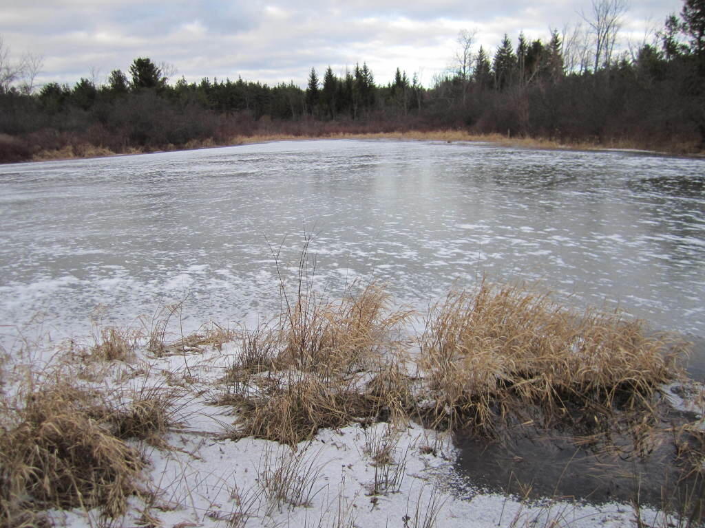 Photo: Ice Covered Pond