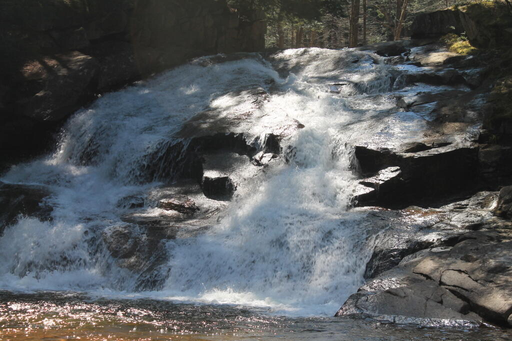 Photo: Spring morning at Tenant Creek Falls