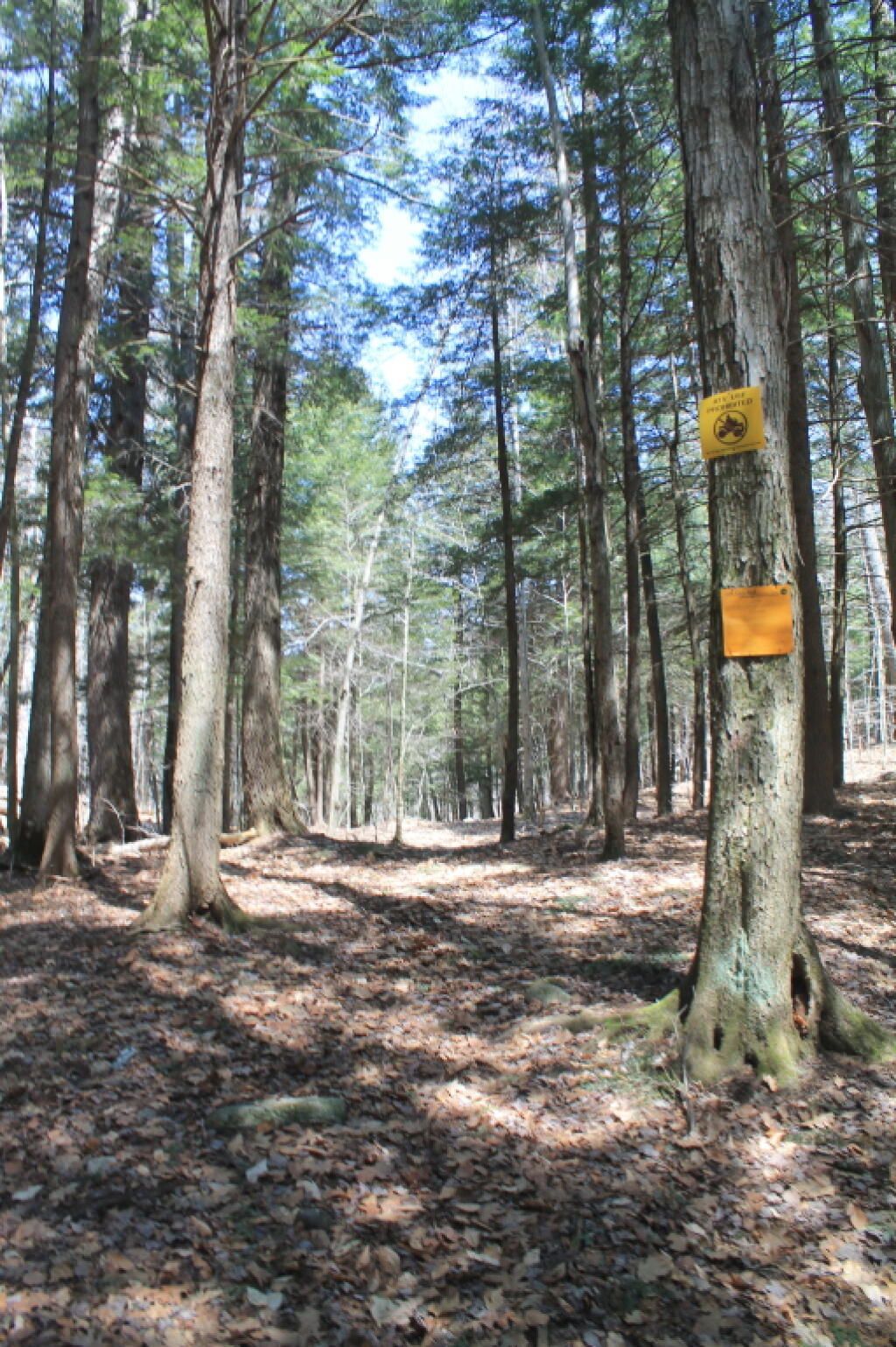 Photo: Photo.2013.04.28 13.51.15