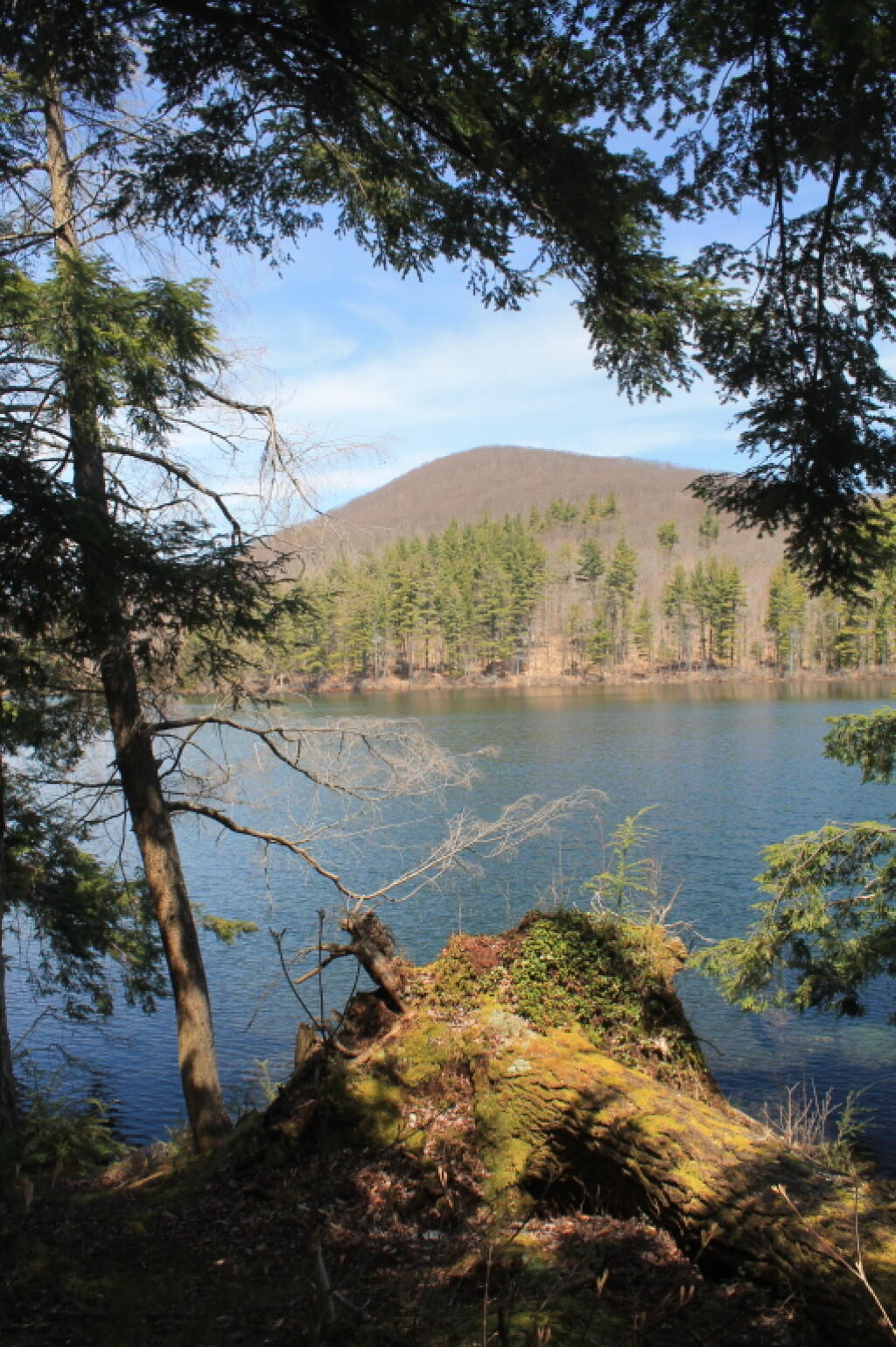 Photo: Woods Lake and Little Cat Head Mountain