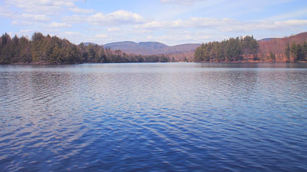Photo: Woods Lake
