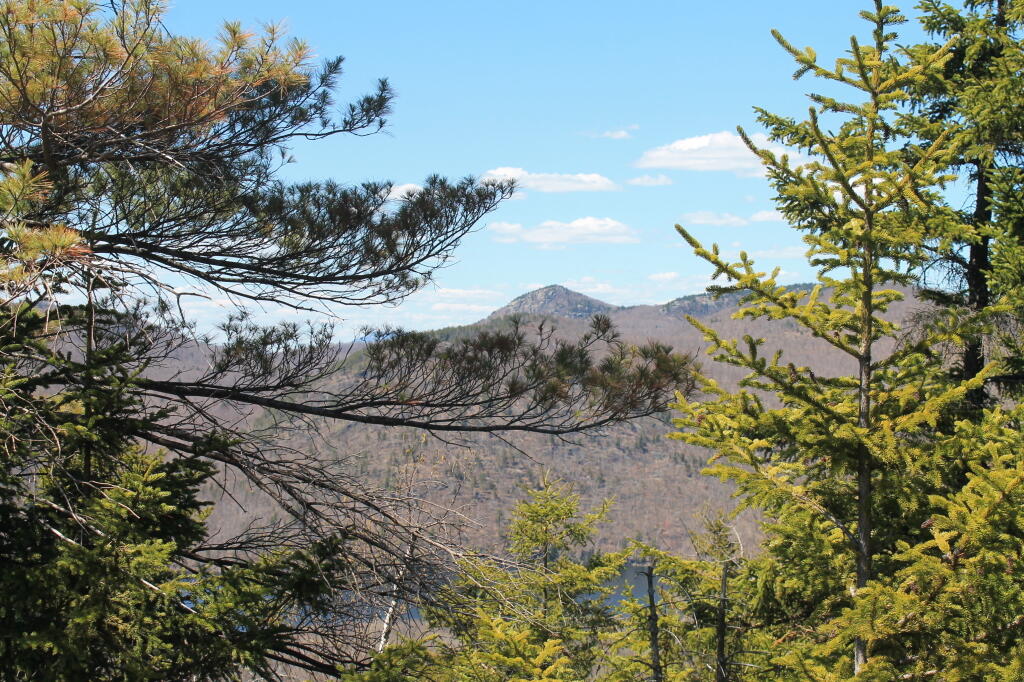 Photo: Hour Pond Mountain