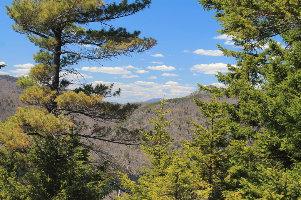 Photo: Blue Skies and Blue Mountain in Distance