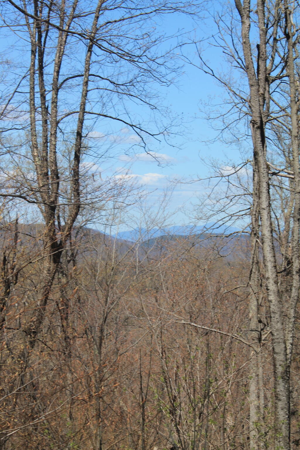 Photo: East Descending the Mountain