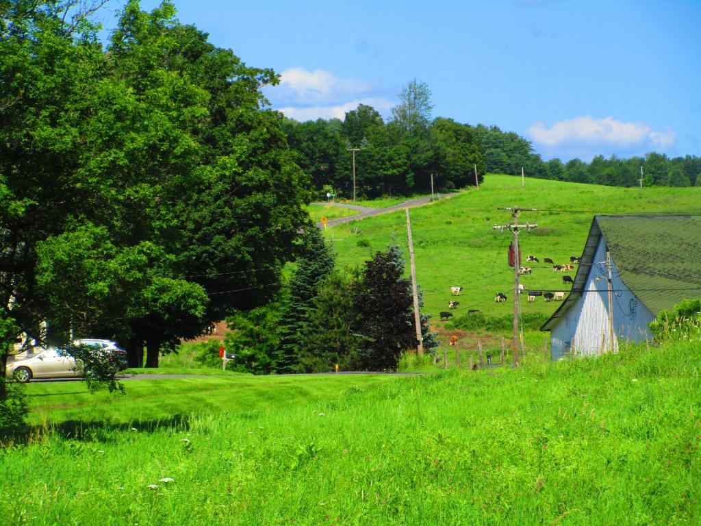 Photo: Dairy Country