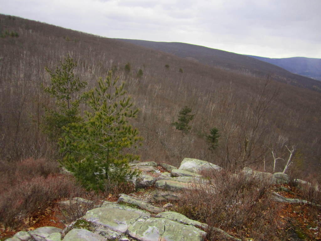 Photo: East Mountain