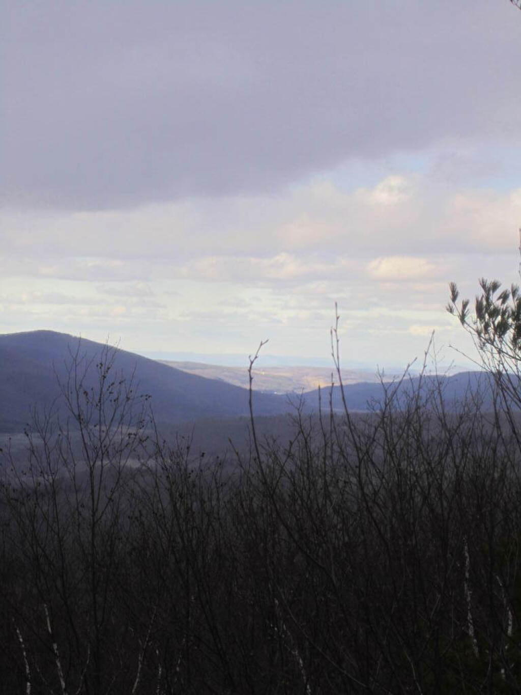 Photo: Clearing Out Facing Pownal