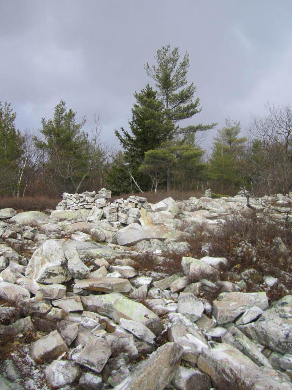 Photo: White Rocks on Pine Cobble