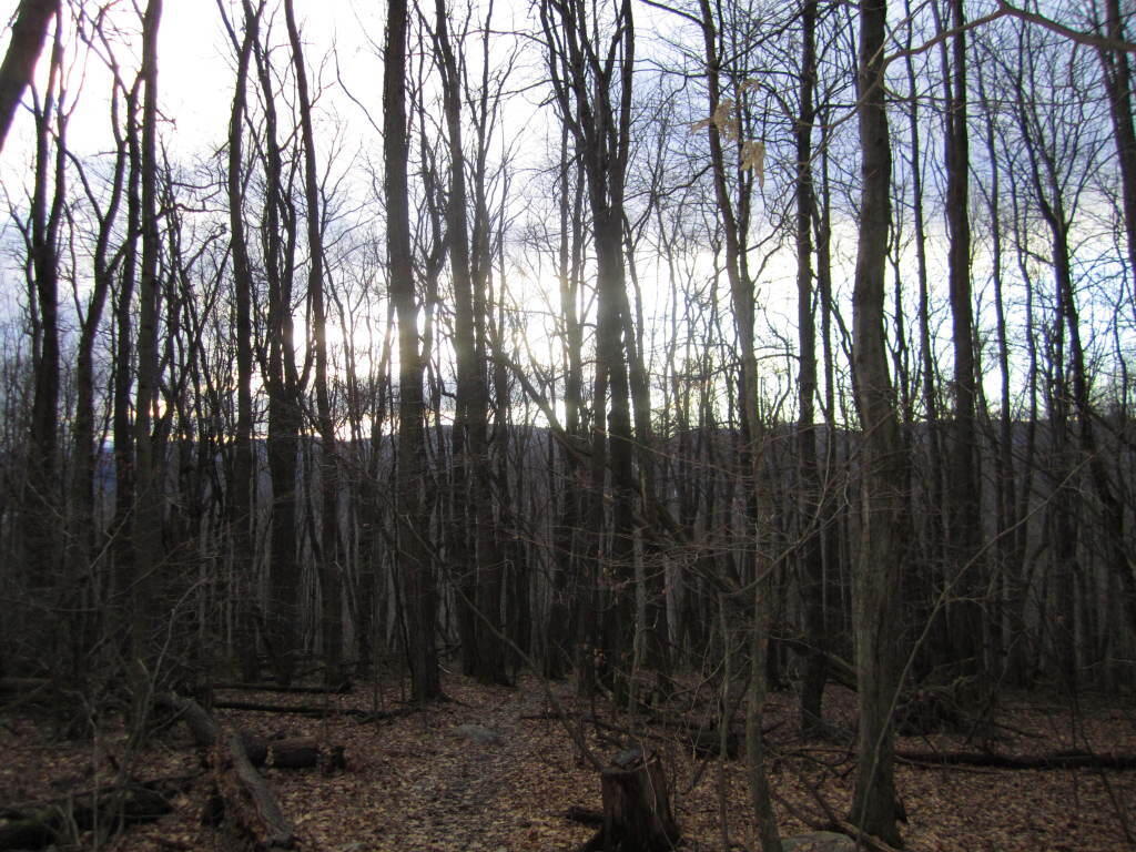 Photo: Descending the Mountain