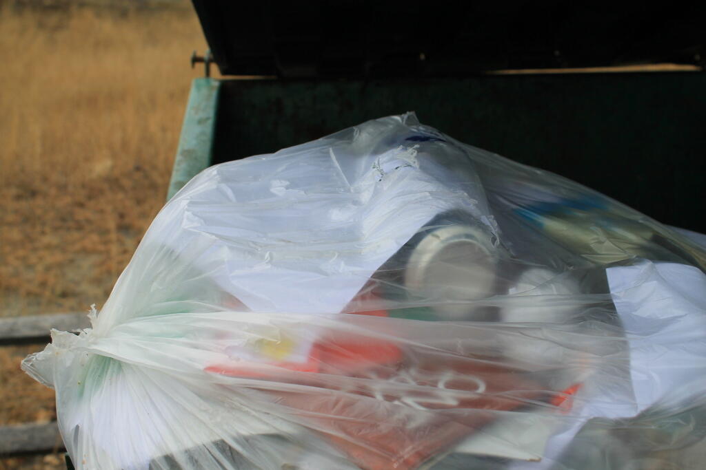 Photo: Recycables in Albany Pine Bush Dumper