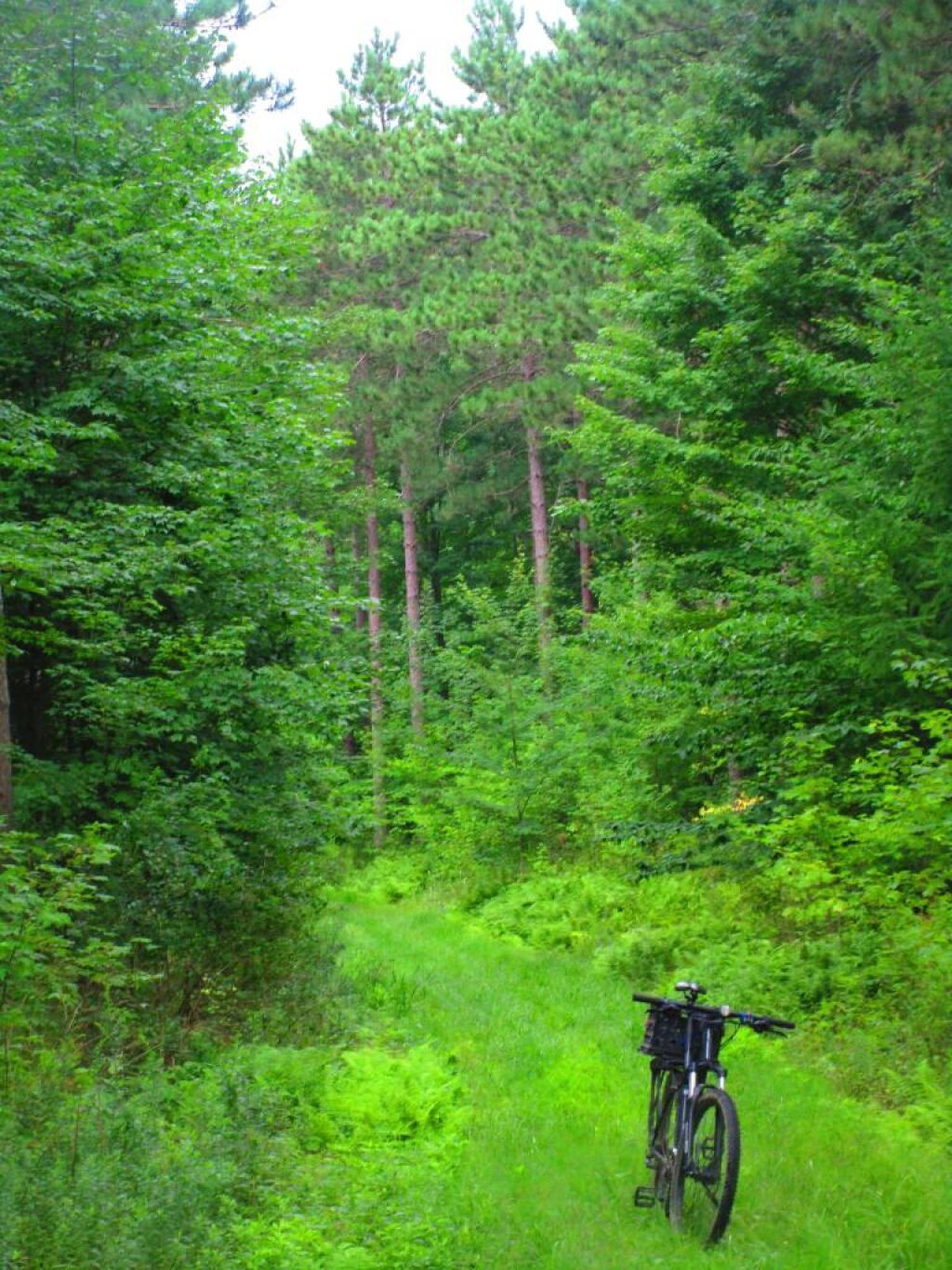 Photo: Riding the A-Trail up Sugar Hill