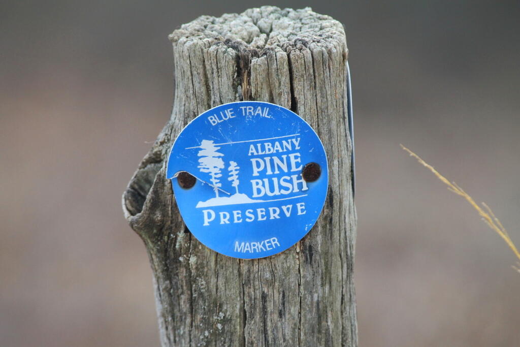 Photo: Blue Trail