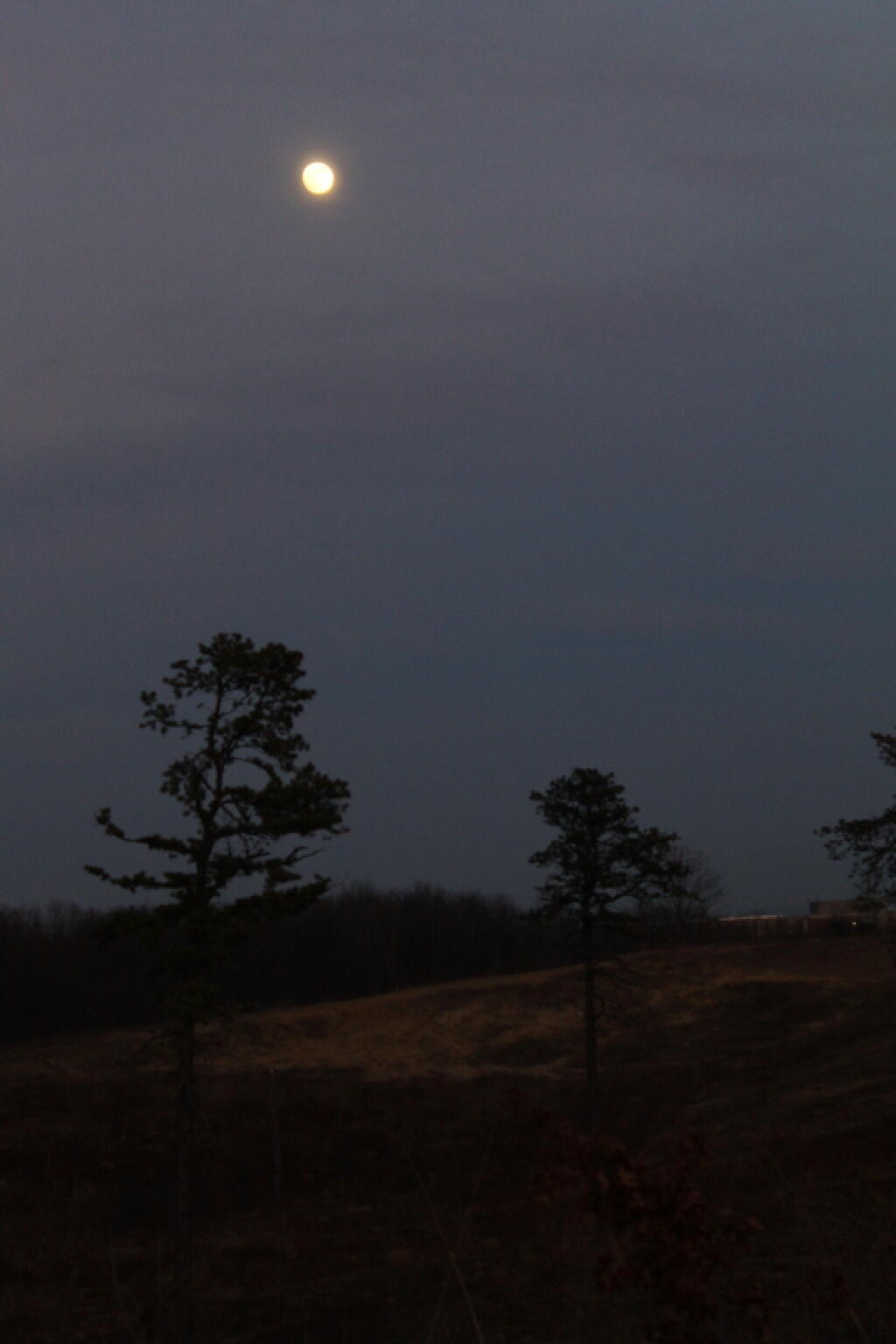 Photo: Full Moon Over Pine Bush