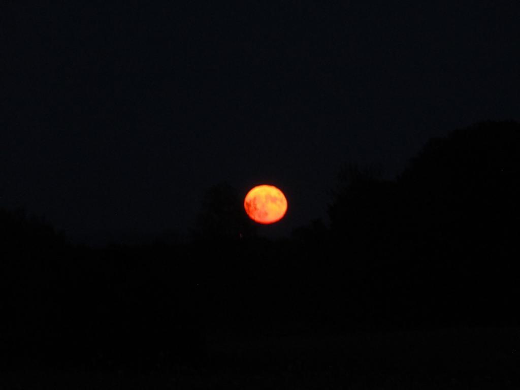 Photo: The moon last night