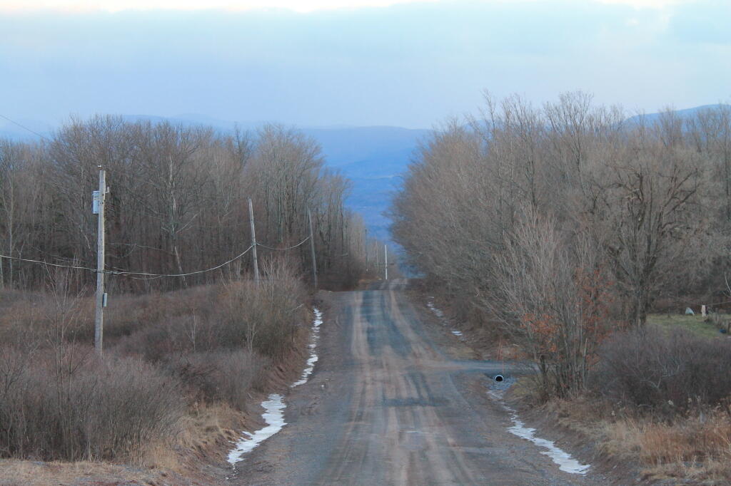 Photo: Down Scutt Road