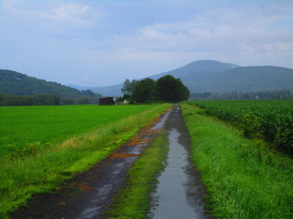 Photo: After the rain showers