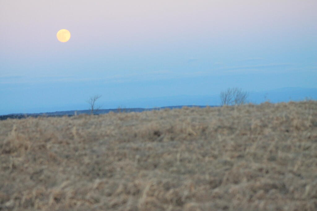 Photo: Higher Moon