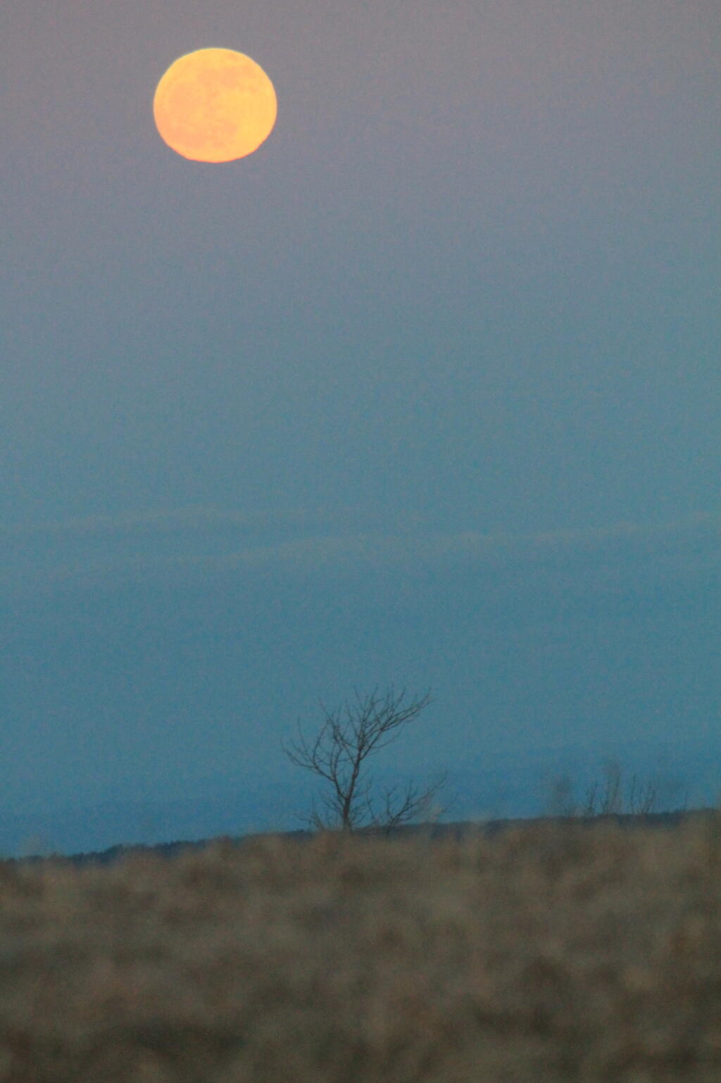 Photo: Mooned