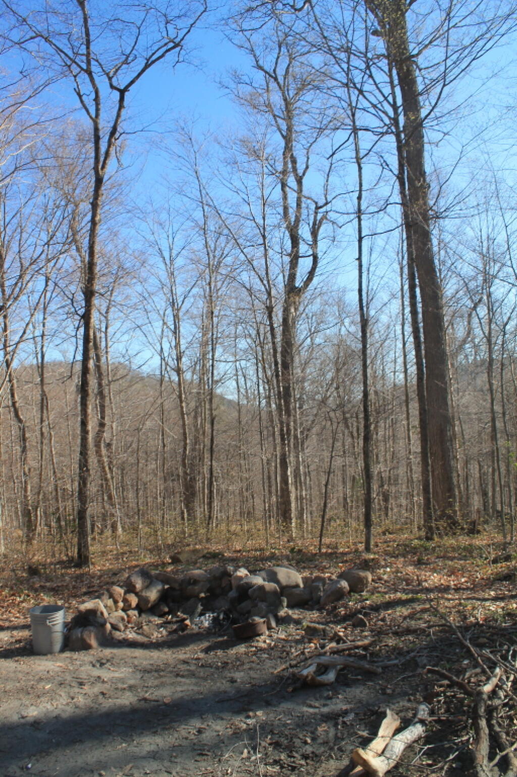 Photo: View from Camp