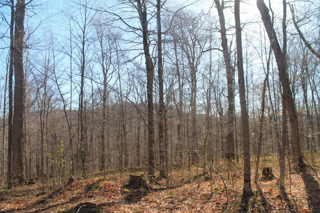 Photo: East