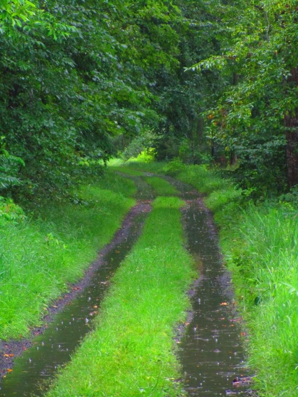 Photo: Very Soggy Riding