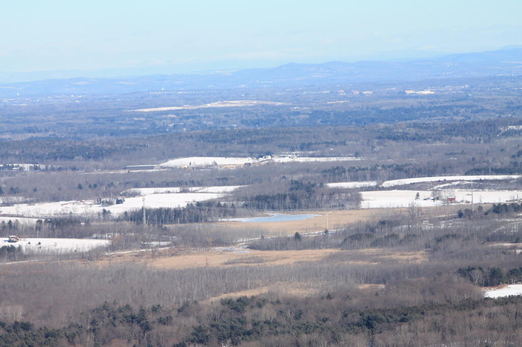 Photo: Towards the Pine Bush