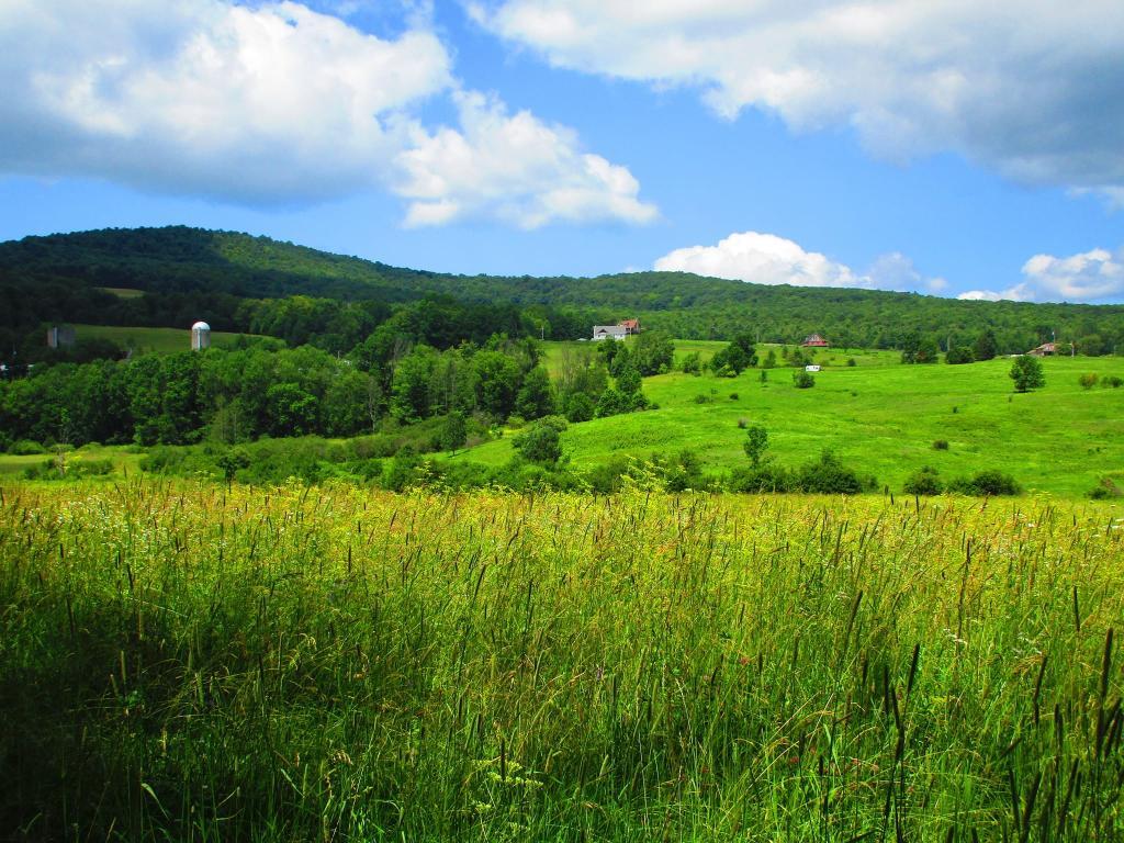 Photo: Bald Mountain