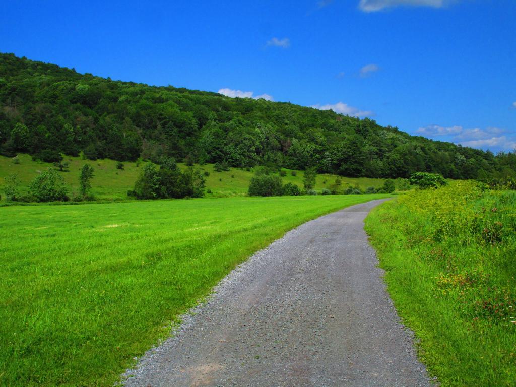 Photo: Nice Smooth Part of the Trail