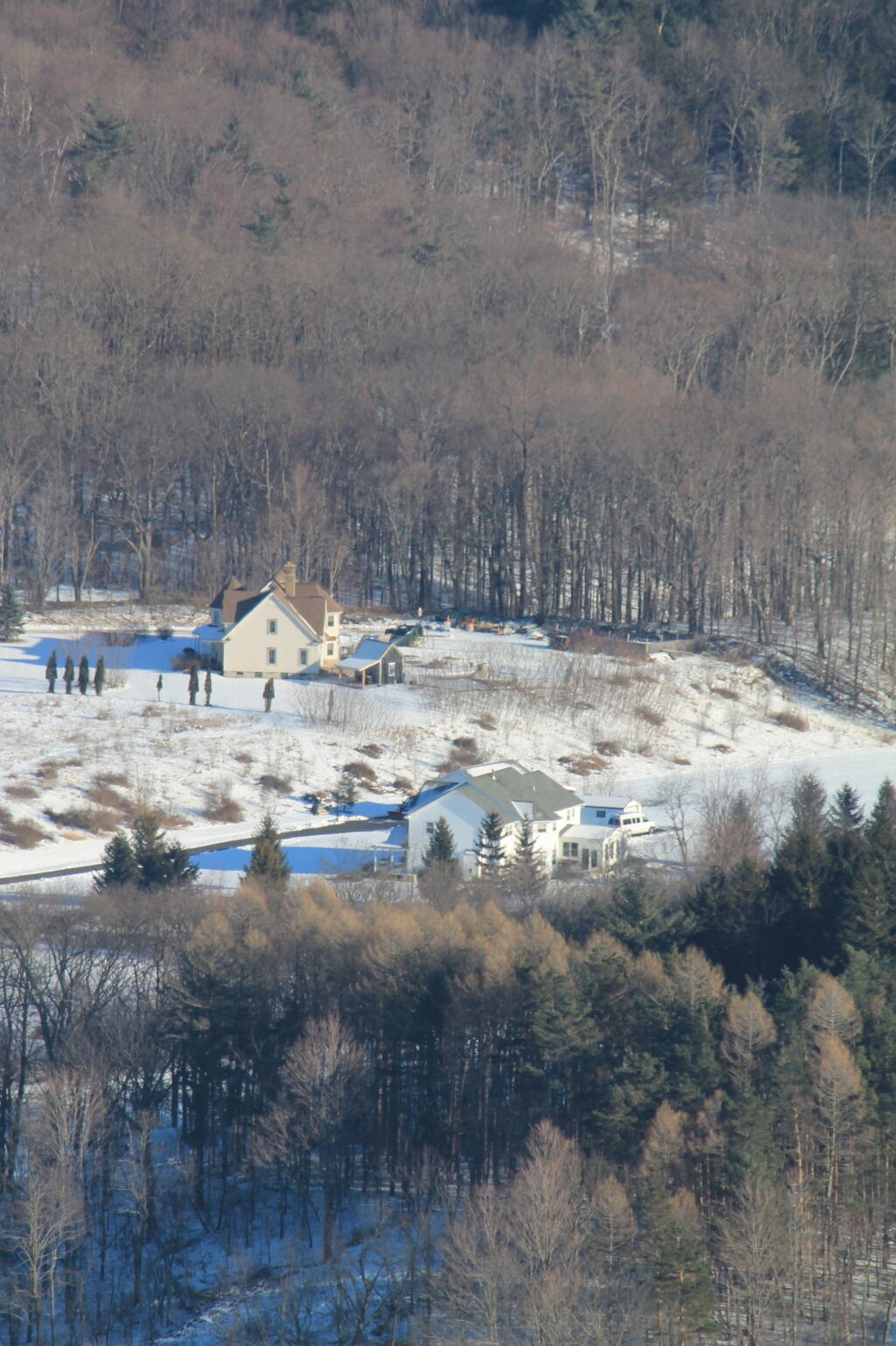Photo: McMansions
