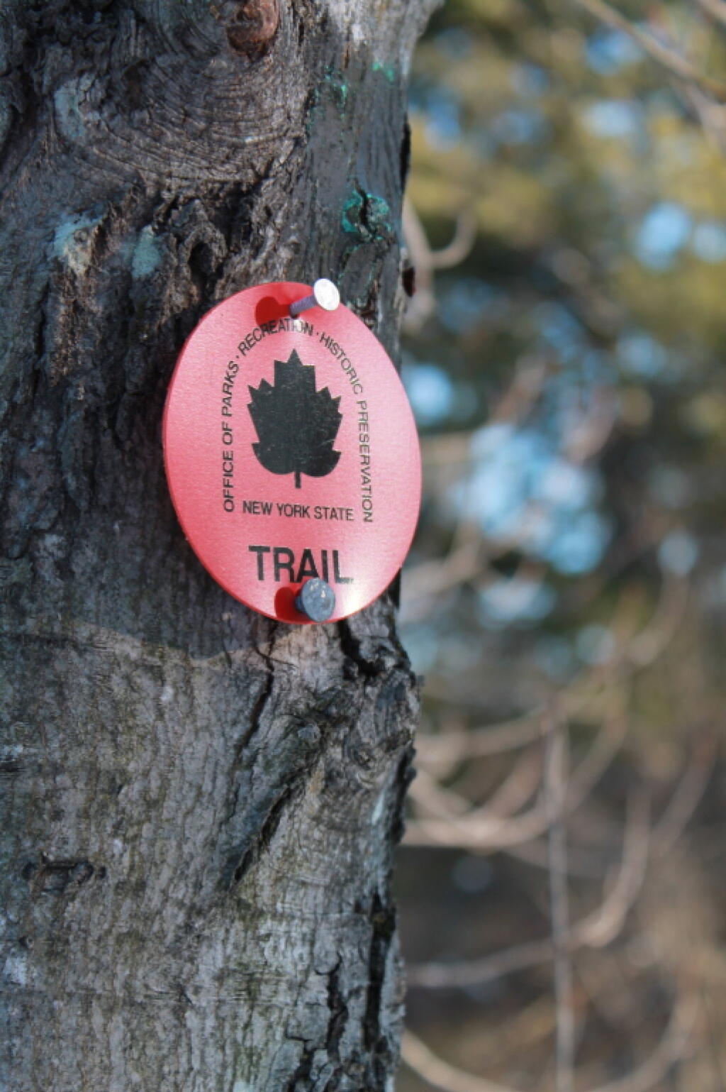Photo: Trail Marker