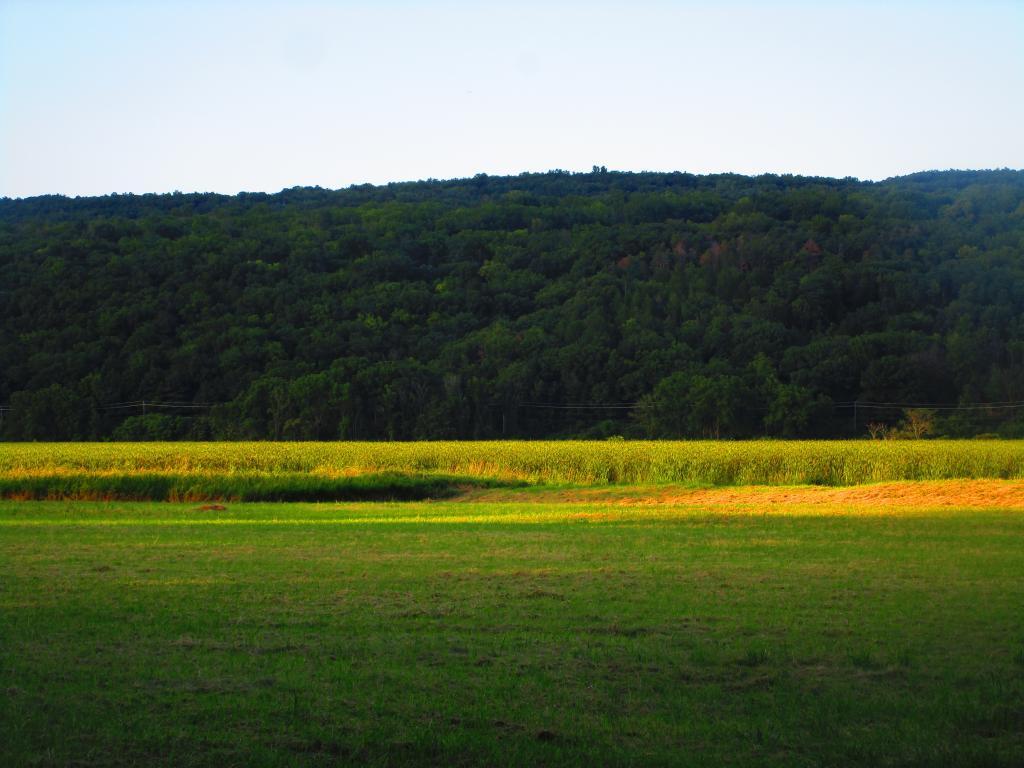 Photo: Across the Catharine Creek Marsh