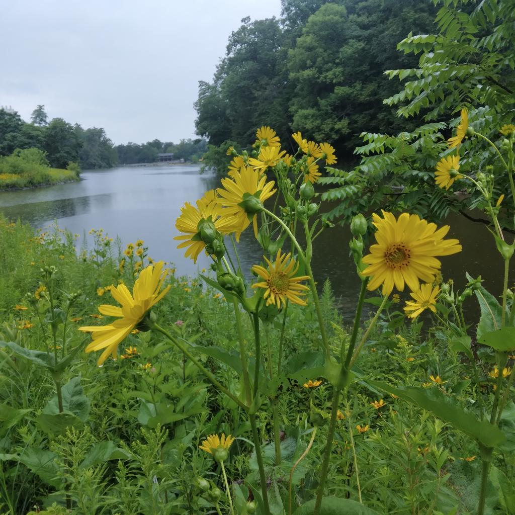 Photo: Beebe Lake at Cornell Botanical Gardens