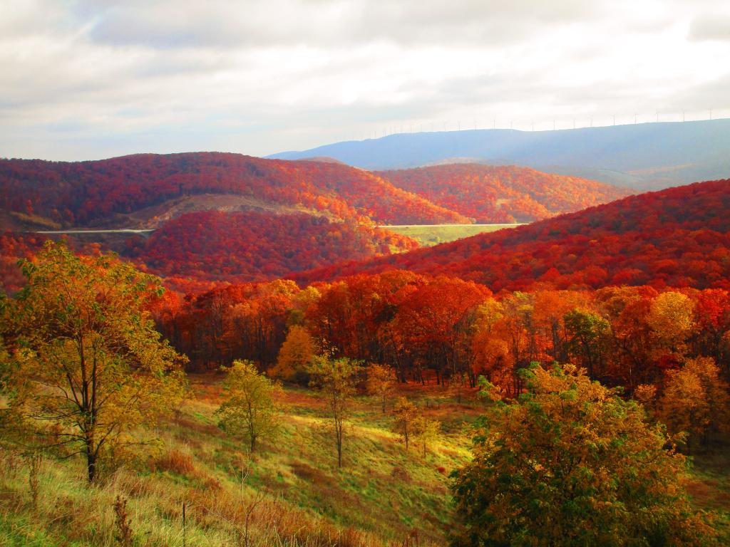 Photo: Scenic Overlook on Corridor H - Mount Storm
