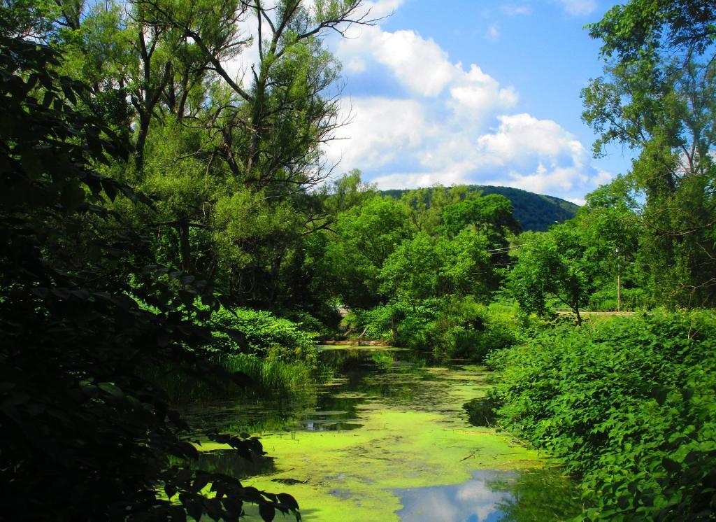 Photo: Old Catharine Creek Canal