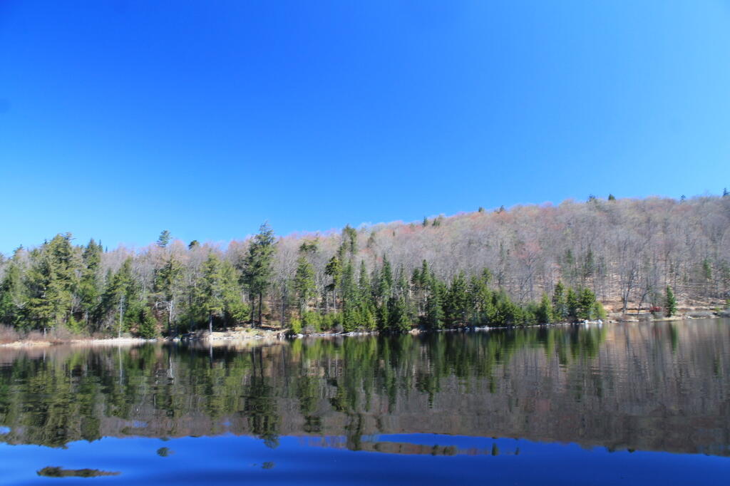 Photo: Huntley Pond