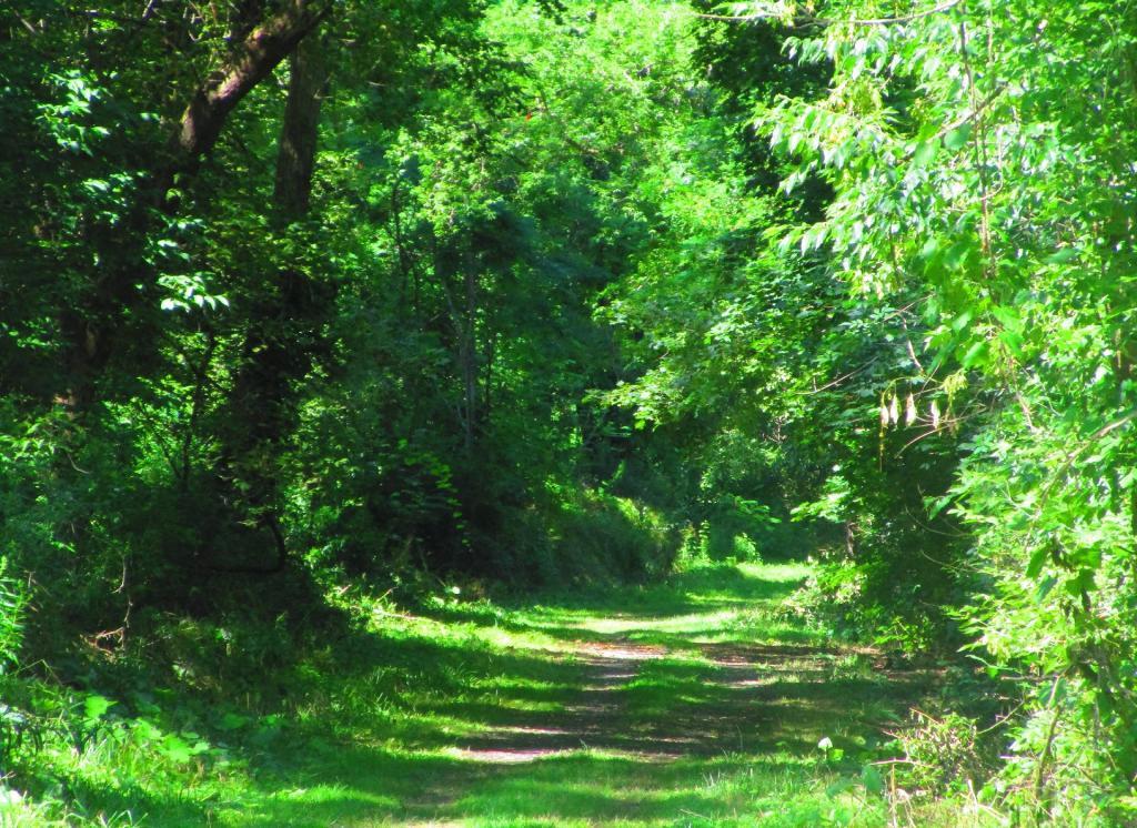 Photo: Riding along the trail