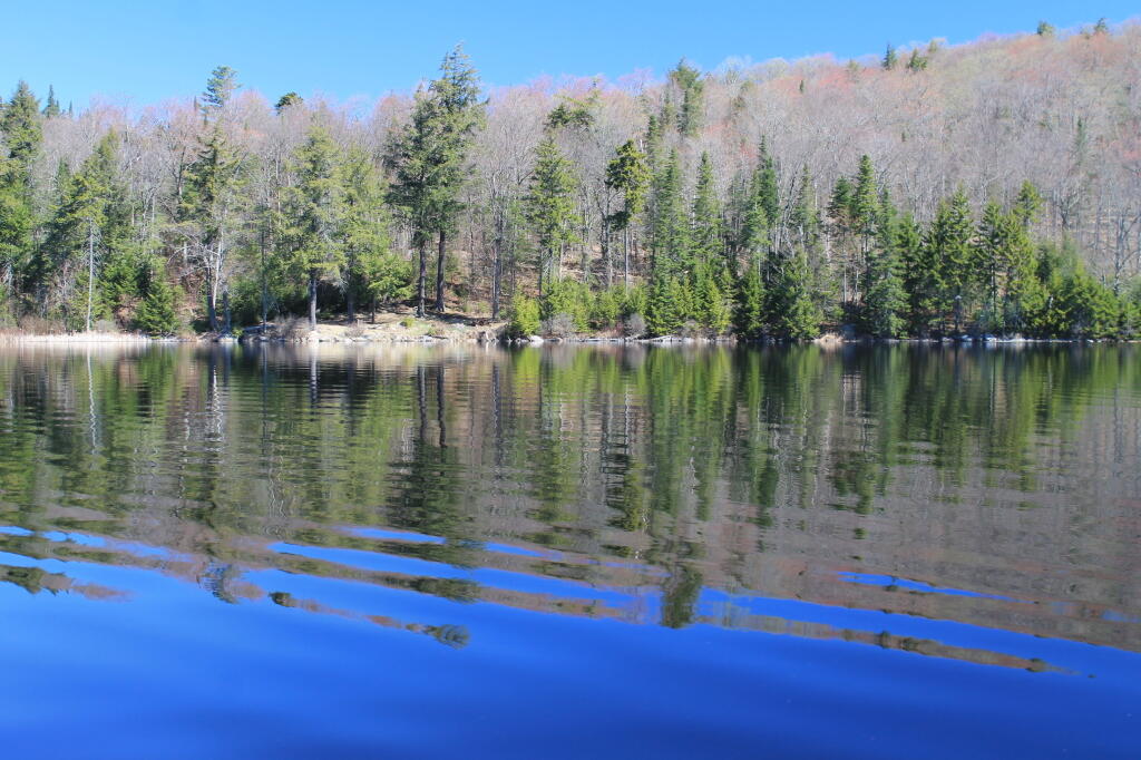 Photo: A sunny day on Huntley Pond