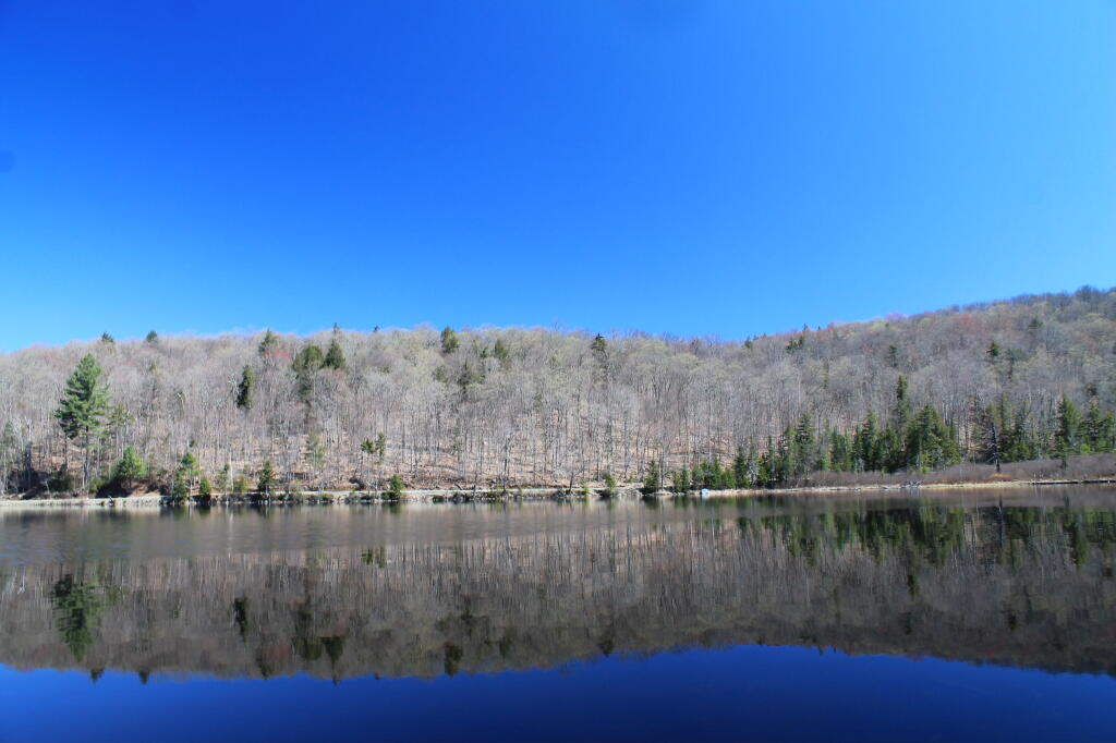 Photo: Blue Skies