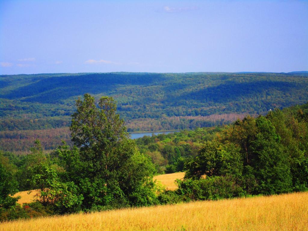 Photo: Connecticut Hill and Cayuta Lake