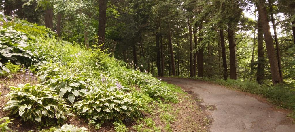 Photo: Exploring Comstock Knoll