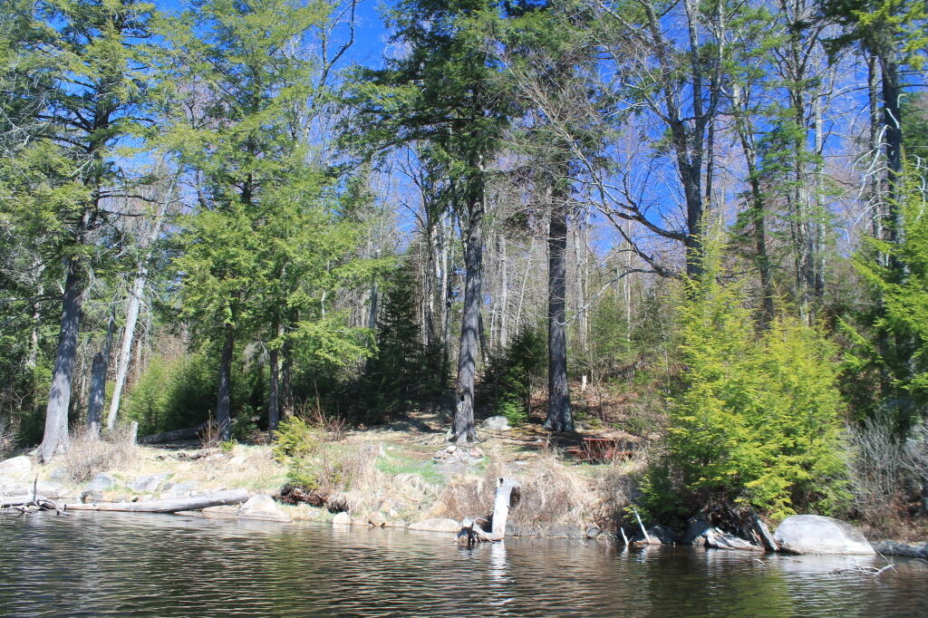 Photo: Campsite Along the Pond