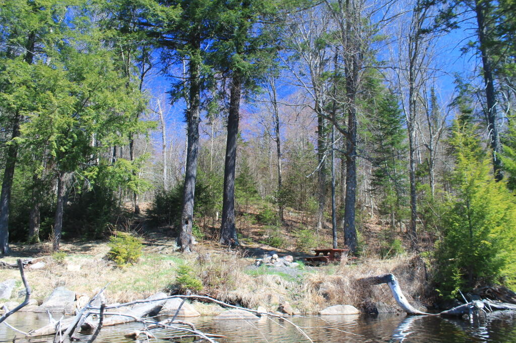 Photo: Picnic Table and Fireplace at Campsite
