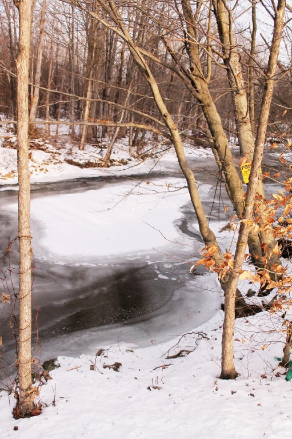 Photo: Some Ice Forming