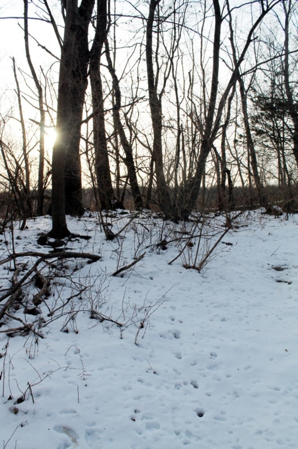 Photo: Setting Sun